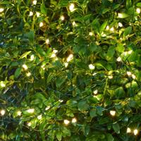 LED rozprávkové svetlá Knirke pre vonkajšie použitie, 160 svetiel.