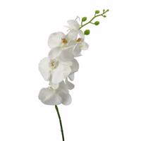 Umelá Phalenopsis biela, 86 cm